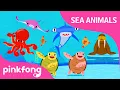 Lagu Move Like Sea Animals | Sea Animal Songs | Animal Songs | Pinkfong Songs for Children