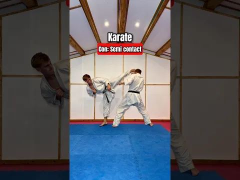 Pros and cons of martial arts…