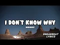 Download Lagu I DON'T KNOW WHY - MOONY  |  BREAKBEAT LYRICS