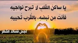 يا ساكن  القلب  لا تبرح نواحيه   رائعة الشاعر صالح عبده اسماعيل الآنسي   إلقاء السوري  أسامة الأحمد دندنها