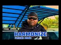 Download Lagu Harmonize - Friend Zone (Visualizer)