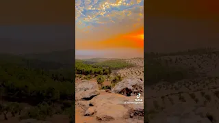 وتولى عنهم وقال يا اسفى على يوسف وابيضت عيناه من الحزن عبد العزيز سحيم 