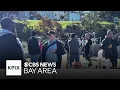Strangers celebrate Friendsgiving at Dolores Park potluck event in San Francisco