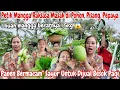 Download Lagu PETIK MANGGA RAKSASA MASAK DI POHON‼️PANEN BERMACAM\