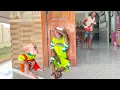 Download Lagu So cute ! Funny CUTIS hides from Dad to avoid taking medicine