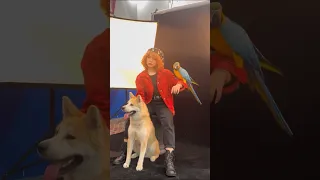 مینی ولاگ عکاسی با حیوانات 