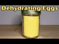 How to Dehydrate Eggs at Home Easy Step-by-Step Guide