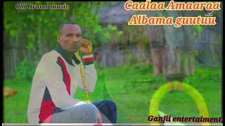 Caalaa Amaaraa Oromo Music 
