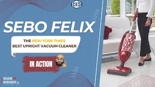 Download Deep Dive into Sebo Felix Upright Vacuum :  Tackling Any Carpet with Ease! In Action MP3