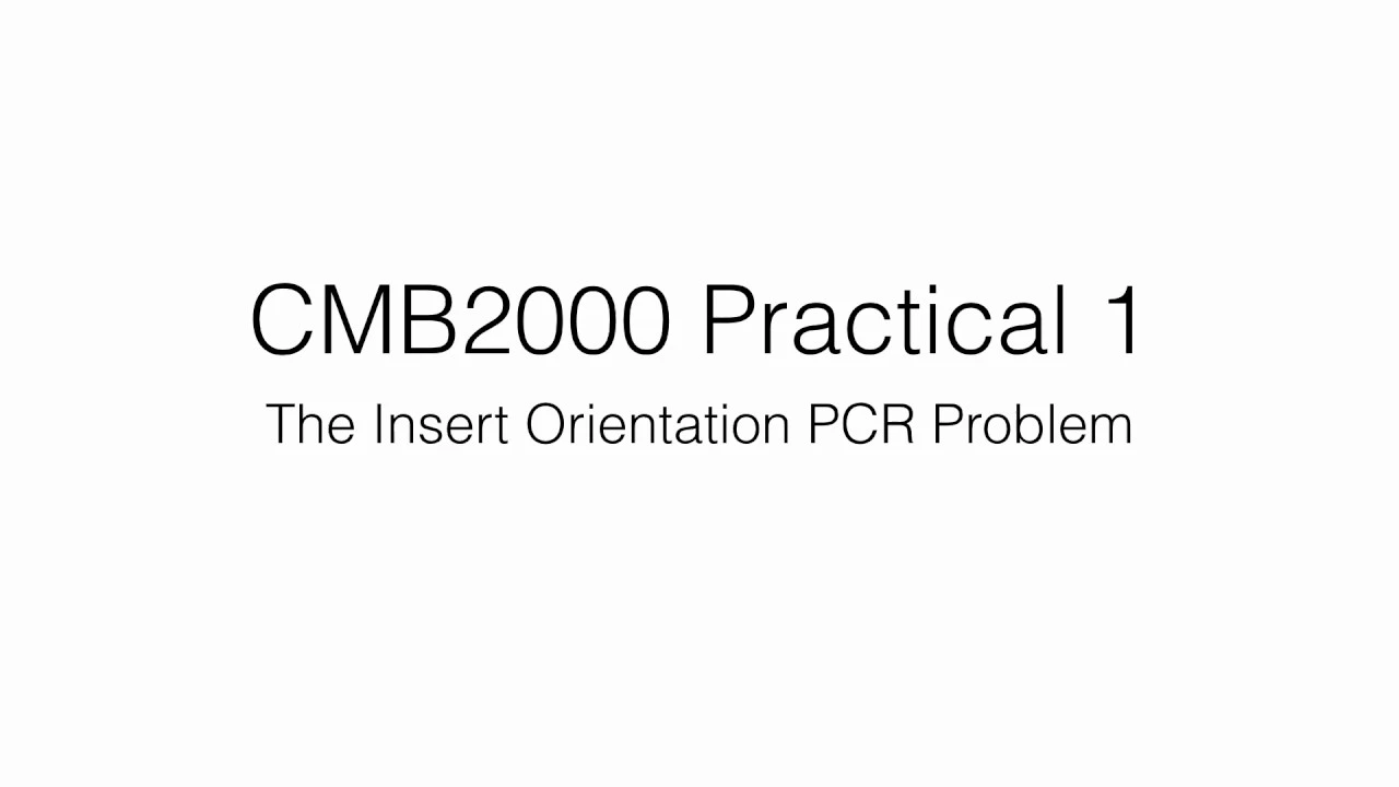How to use PCR to determine the orientation a plasmid insert?