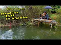 Lagu Alhamdulillah Dapat ikan BESAR BESAR spot mancing pinggiran mancing Cirata terbaru..!!!