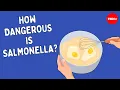 Download Lagu Is it really that bad to eat cookie dough? - Emma Bryce