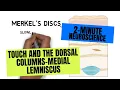 2-Minute Neuroscience Touch and the Dorsal Columns-Medial Lemniscus