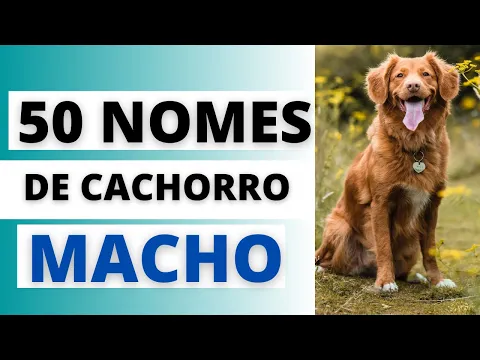 Download MP3 NOMES DE CACHORRO MACHO🐶🥰