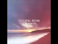 Download Lagu Textural Being - En ce moment... [Full Album]