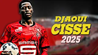 مهارات وتدخلات دجاوي سيسيه لاعب رين الفرنسي 2025 Djaoui Cisse 