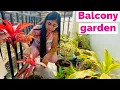 My Balcony garden care with Gardening tools SuhaniStyleTips