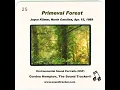 Primeval Forest