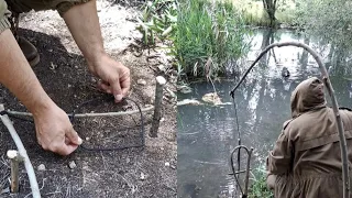 5 effective forest traps
