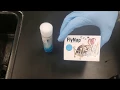 Lab Drosophila Fruit Fly P-Generation Removal