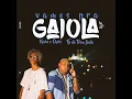 Vamos pra Gaiola (Versão Light)