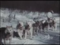 Video di Leonhard Seppala with his dog team