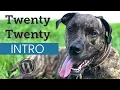 WordPress Twenty Twenty Theme Tutorial for Beginners