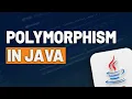Polymorphism in Java Definition and How to Use it in the Code
