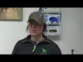 Owning animals in Great Falls according to city ordinance