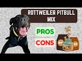 Rottweiler Pitbull Mix PRO S CON S