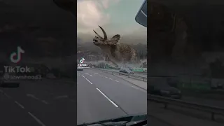 تي ريكس ضد ترايسيراتوبس 