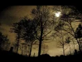 One headlight- the wallflowers lyrics