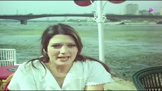 الطيور المهاجرة 