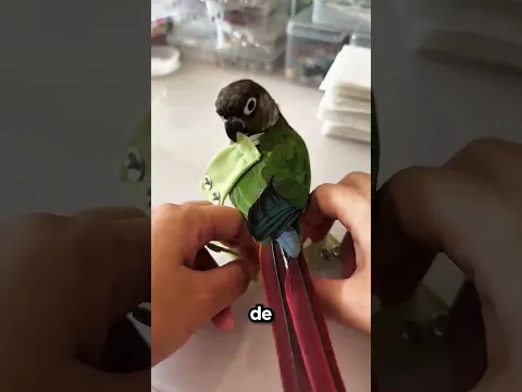 Él Se Hacía Caca Encima Pero Ella Hizo Esto 😍