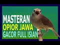 Download Lagu MASTERAN OPIOR JAWA GACOR FULL ISIAN