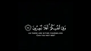 و ف ي ال أ ر ض  ء اي ت  ل ل م وق ن ين   عبد الباسط عبد الصمد كروما شاشة سوداء قرآن كريم  كرومات قرآن دندنها