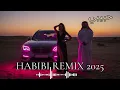 Download Lagu Midnight in Samarkand 🌙 HABIBI Remix 2025 | Bukhara \u0026 Silk Road Nights