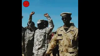 القائد إبراهيم عبدالله دنيا قائد قوات تحرير شرق السودان 