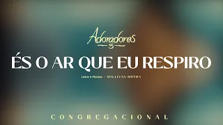 ADORADORES 5 - ÉS O AR QUE EU RESPIRO (LETRA)