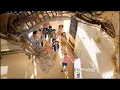 Payless Ad - I Am a Paleontologist (Short Version)