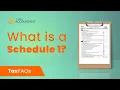 What is a Schedule 1 - TaxFAQs