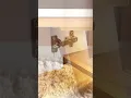 Vídeo do produto