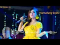Download Lagu Hareudang versi dangdut koplo terbaru fira azzahra adella