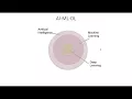 Part 2 Machine Learning - Artificial Intelligence vs Machine Learning