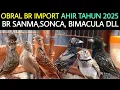 Lagu ✅ TERNYATA SDH SEMURAH INI HARGA BRANJANGAN IMPORT TERBARU DI AHIR THN 2025 DI PASAR BURUNG PRAMUKA