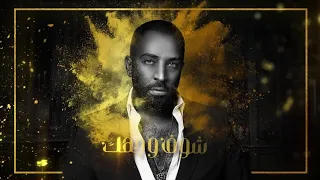 شوف وجهك بطيء   انت واحد عندي ابد ما له مكانه بشر عادي بطيء   سيف عامر دندنها