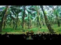 Download Lagu Arka Kinari: Artivism at Sea / Live Immersive Performance / SAT Montreal  (Canada)
