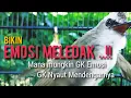 Download Lagu MANA MUNGKIN TRUCUK MU G EMOSI MENDENGAR PANCINGAN PANAS INI  99,9% Bikin EMOSI MELEDAK ..!!