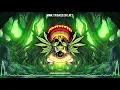 Tribal Seeds - Roots Party (Lyrics)