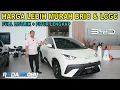 Download Lagu BYD ATTO 1 EV Full Spek Tapi Harga Dibawah Brio dan LCGC
